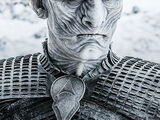 Night King