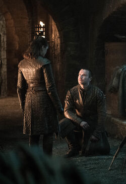 804 Arya Gendry