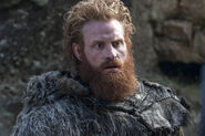 401 Tormund