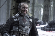 Stannis lies wounded in "Mother's Mercy".