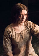Arya in Season 5