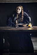 Sansa in the "The Winds of Winter"