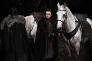 Robb & his horse