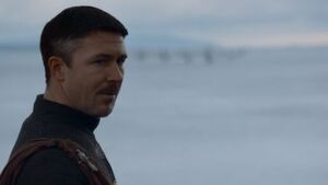 205 Petyr