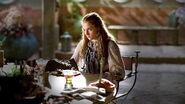 Sansa wearing lighter clothing in the Stark private apartments in King's Landing; as is typical of the Northern style it still has heavy embroidery around the neck.
