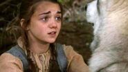 Arya “saves” Nymeria.