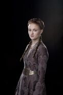 SansaStarkS2Promo.jpg (15 KB) Promotional image of Sansa in Season 1