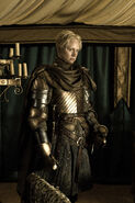 Brienne of Tarth in "Garden of Bones."