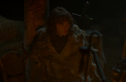 S04E4 - Bran