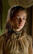 Publicity image of Arya in "The Wolf and the Lion".