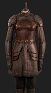 Rhea's bronze armor