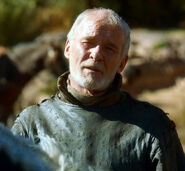 Ser Barristan Selmy, as a Marcher, used to wear ringmail armor (the rings are removed; note the circular marks on his leather uniform).  