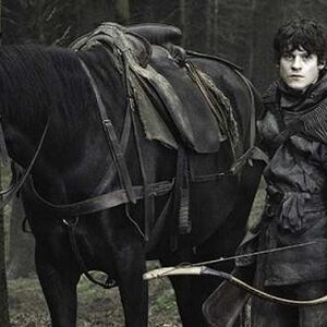 Horses Game Of Thrones Wiki Fandom Remember the game of thrones horse drawing meme? horses game of thrones wiki fandom