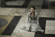 Promotional image of Sansa in the Great Hall of the Red Keep in "Garden of Bones."