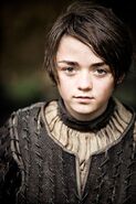 Arya Stark in "The Night Lands."