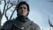 Robb after his victory in the Battle of the Whispering Wood in "Baelor".