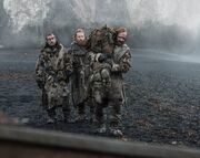 706-Hound-Beric-Tormund