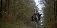 WA Rhaenyra riding