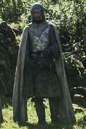 A Vale guard in Season 5. If you look at his feet, it can be seen that his cape does not extend behind him, but is more like very long open sleeves - the signature Vale style, reminiscent of falcon wings. As with others, the chest part of the cape comes to a sharp peak.