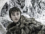 Bran Stark