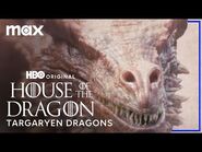 House Targaryen & Their Dragons / House of the Dragon / Max