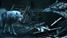 Призрак 8x04