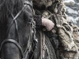 Bran Stark (serial)
