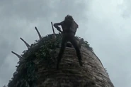 Bran upada z wieży.