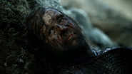 Brienne beats Sandor in combat, Season 4 finale