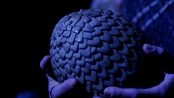 Dragon Egg