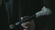 Longclaw