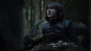 S03E6 - Bran