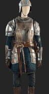 Vaemond Velaryon's armor