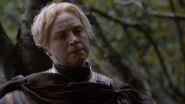 205 Brienne von Tarth