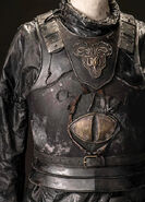 MGoT-Euron's armor