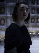 Arya in the Hall of Faces