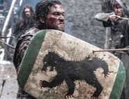A shield bearing the new arms of House Mormont from season six onwards. This version displays a rampant bear, as described in the novels.