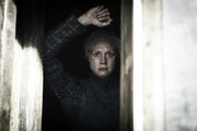 Brienne Kill the Boy