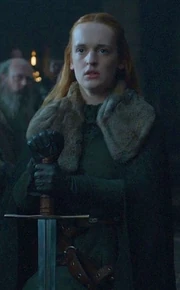 , cousin of the main Stark family.