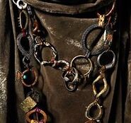 Grand Maester Pycelle's chain, each link signifying a different field of knowledge.