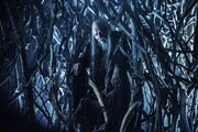 Game-of-thrones-season-4-finale-tree-man