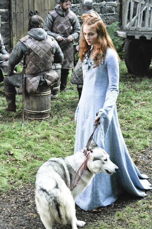 102 Sansa Lady