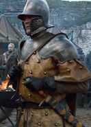 Baratheon/Stormlander knight in Renly's camp