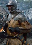 Knight of the Stormlands