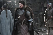 Promotional image of Robb in "Valar Dohaeris."