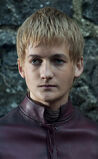 Joffrey at Winterfell in "Winter is Coming."