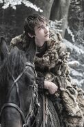 Promotional image for Bran in Season 6.