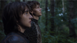 Bran ve Jojen