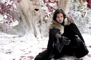 Jon Snow at the Heart Tree north of the wall.