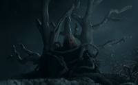 Bloodraven in tree